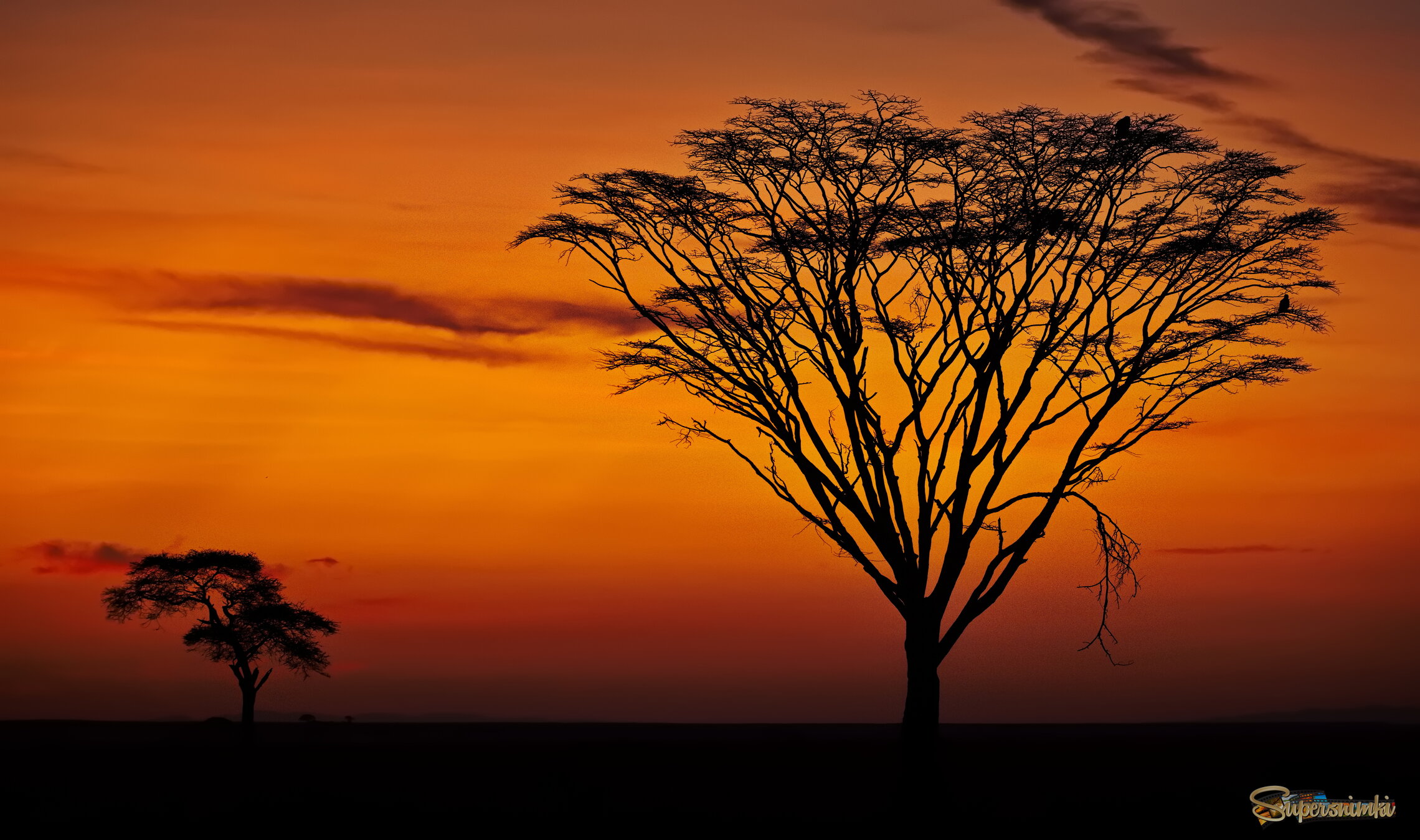 Два одиночества