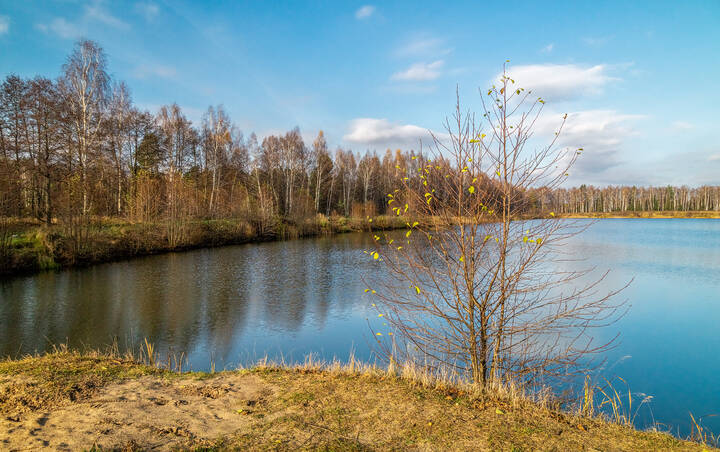 Осень не сдаётся 