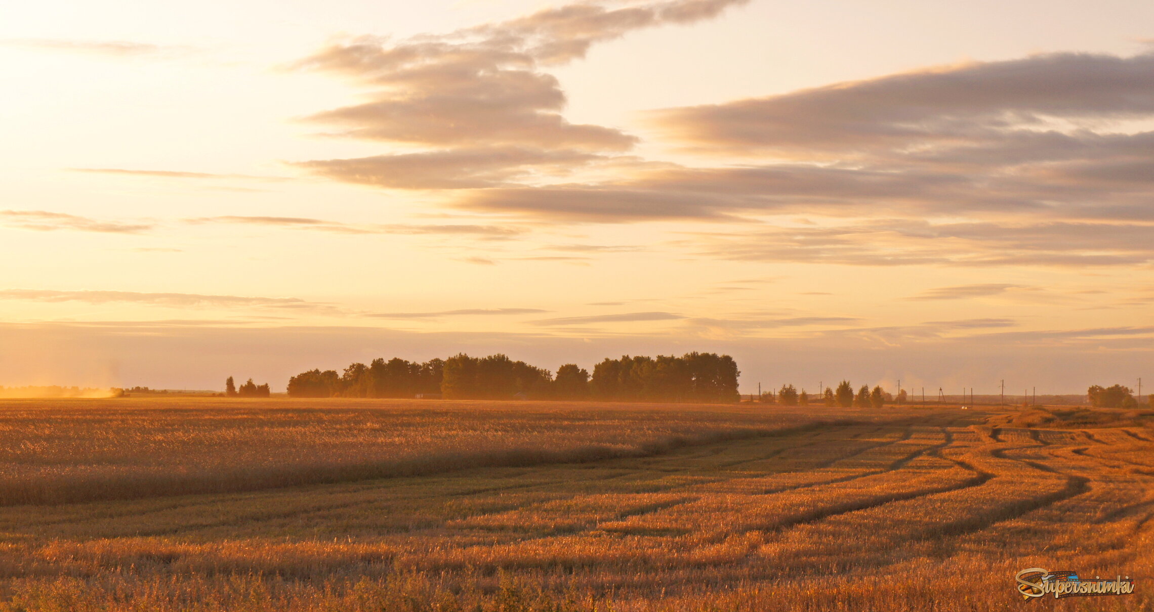 В закатном свете.