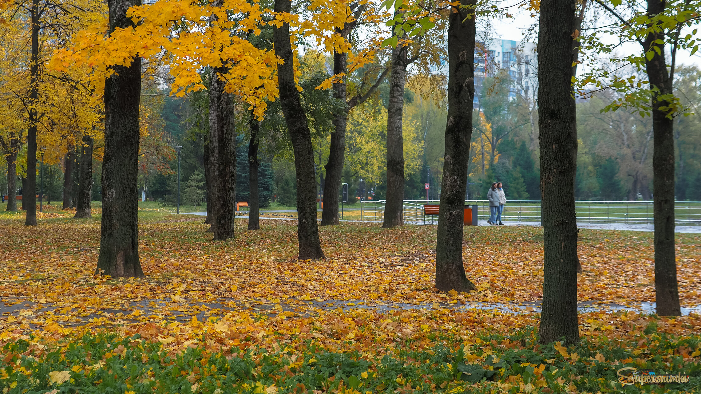 В Осеннем Парке
