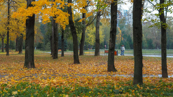 В Осеннем Парке