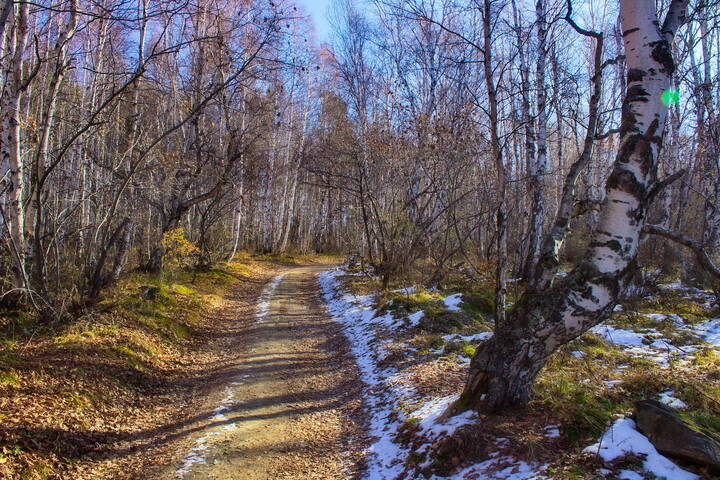 Байкальские тропинки II