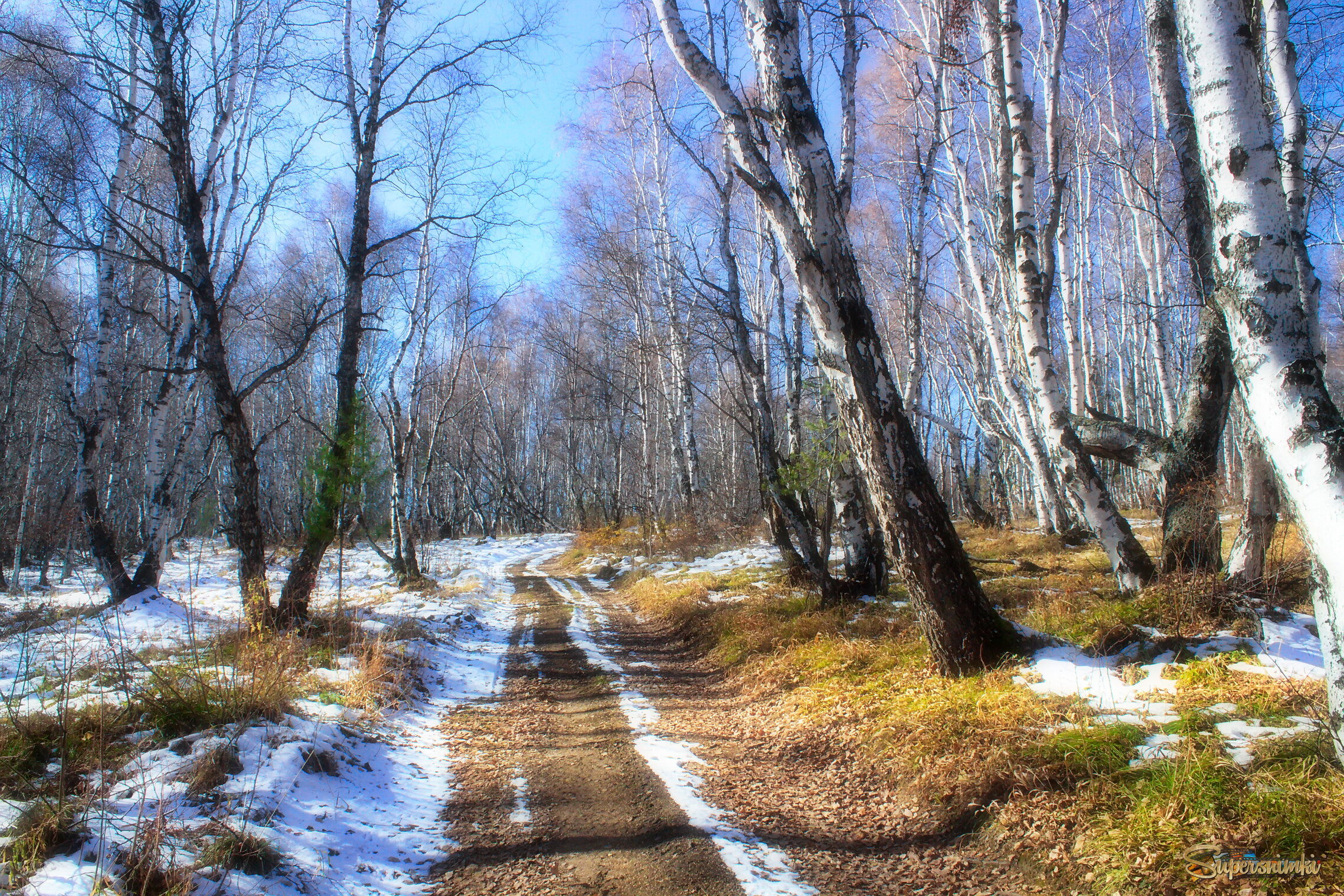 Байкальские тропинки 