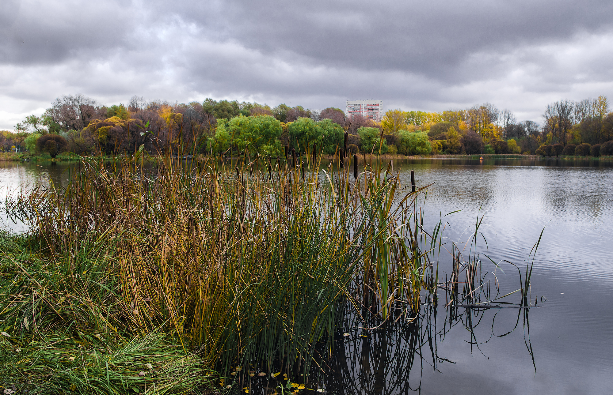 Хмурая осень