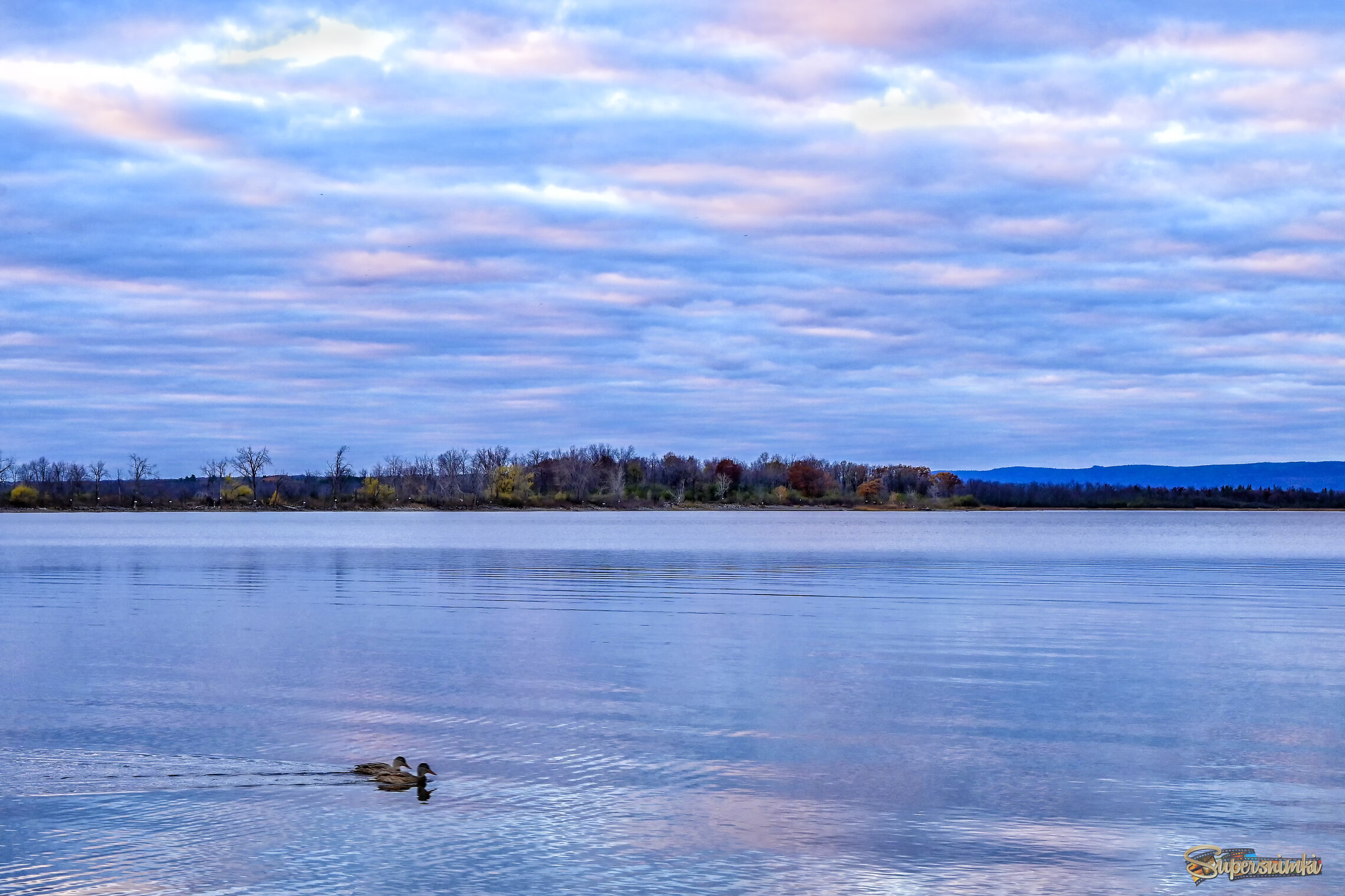 Купальщики