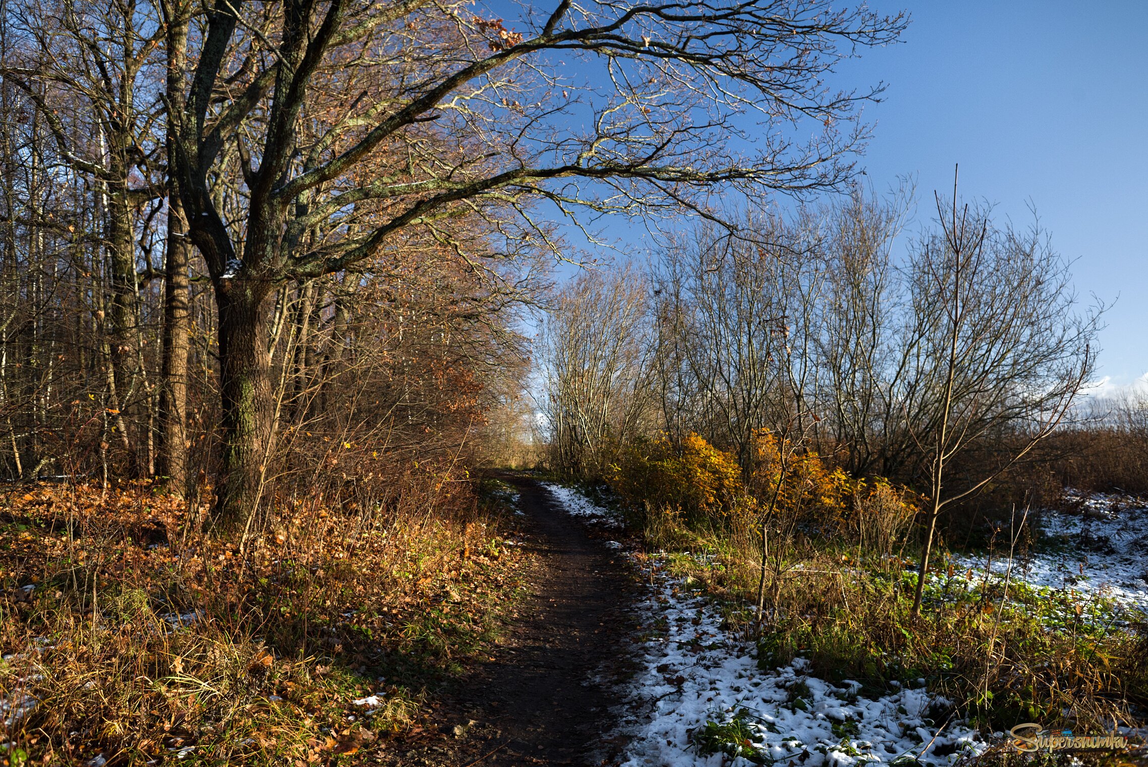 Последние краски
