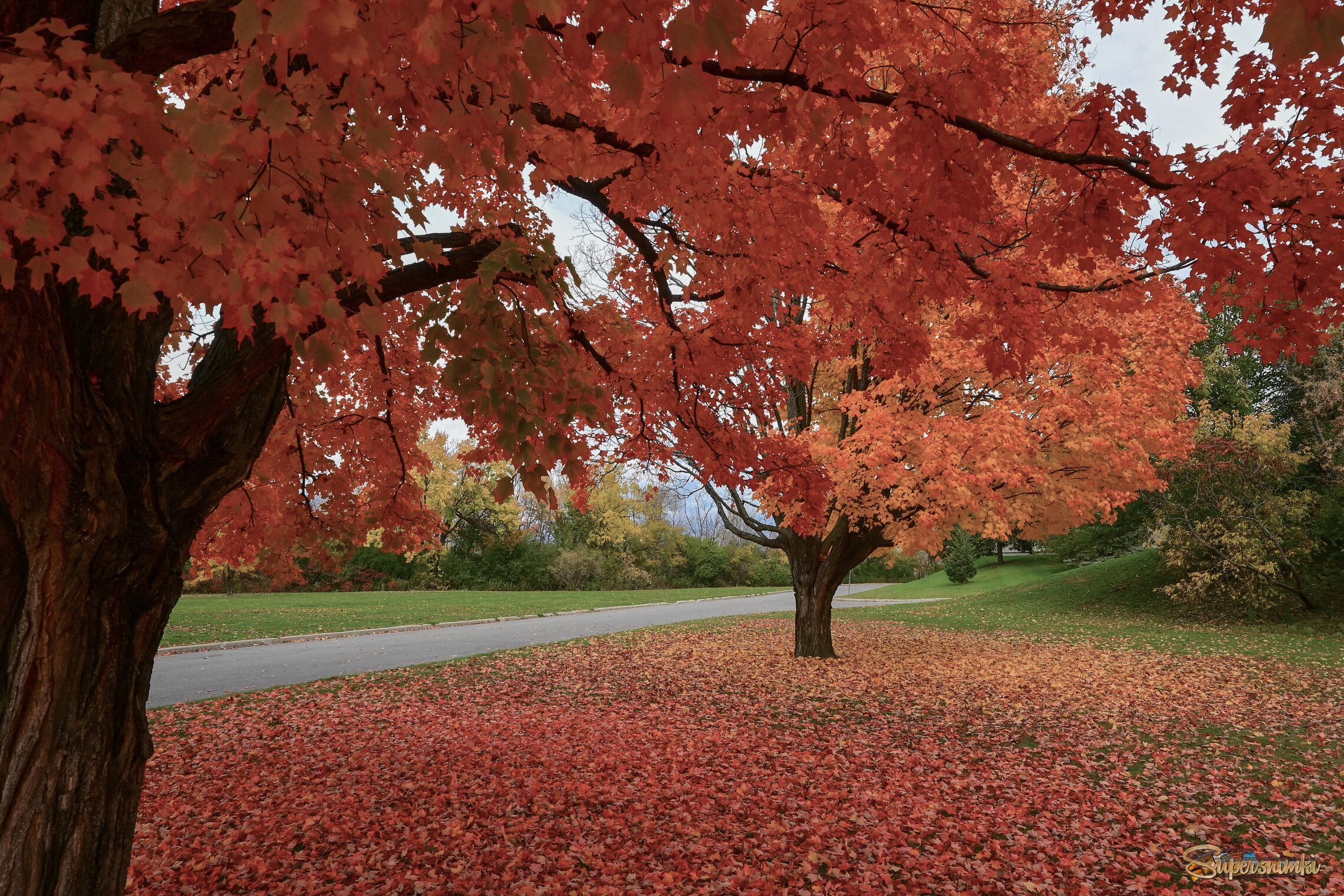 Красное раздолье