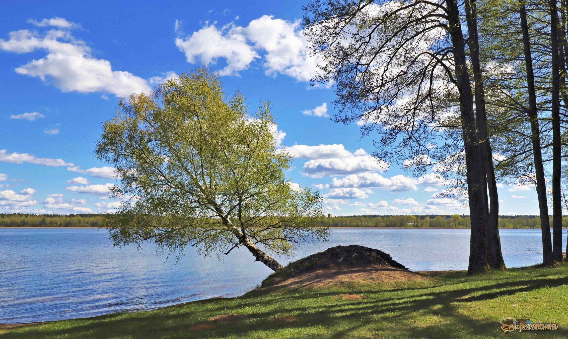 690a034839b446744f09687b