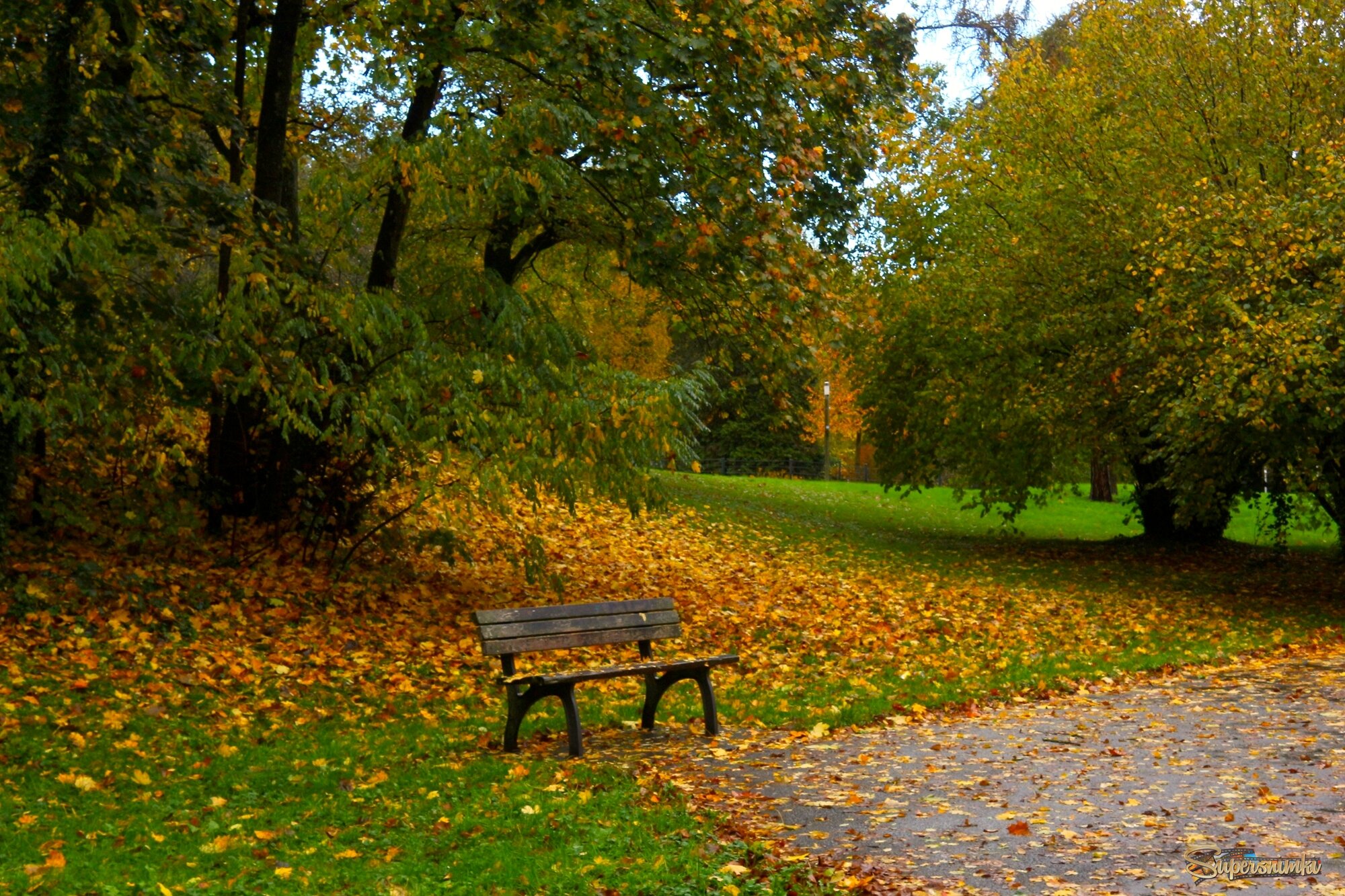 Осенняя скамейка