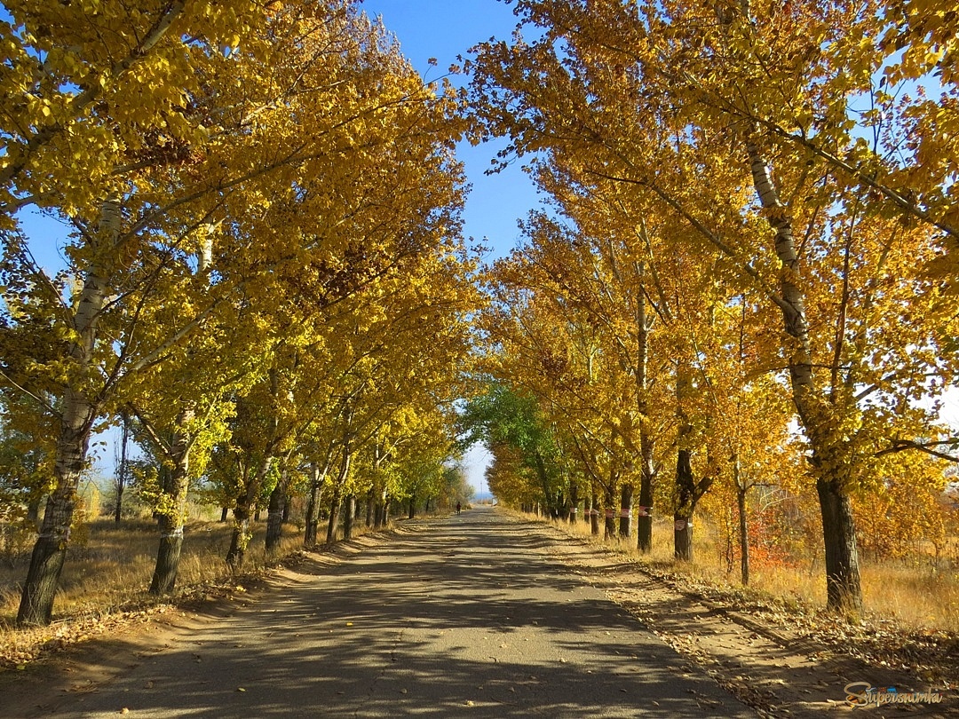 Про любимую дорогу )