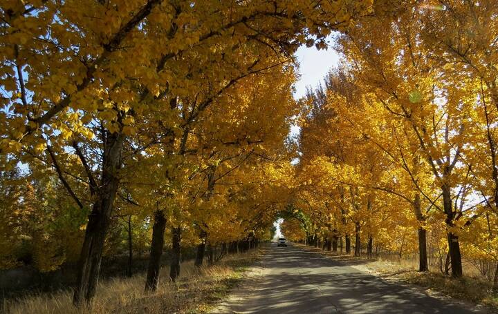 Про любимую дорогу )
