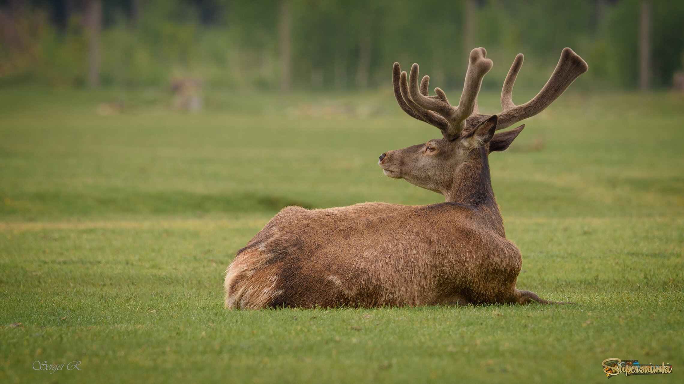 Потревожили...