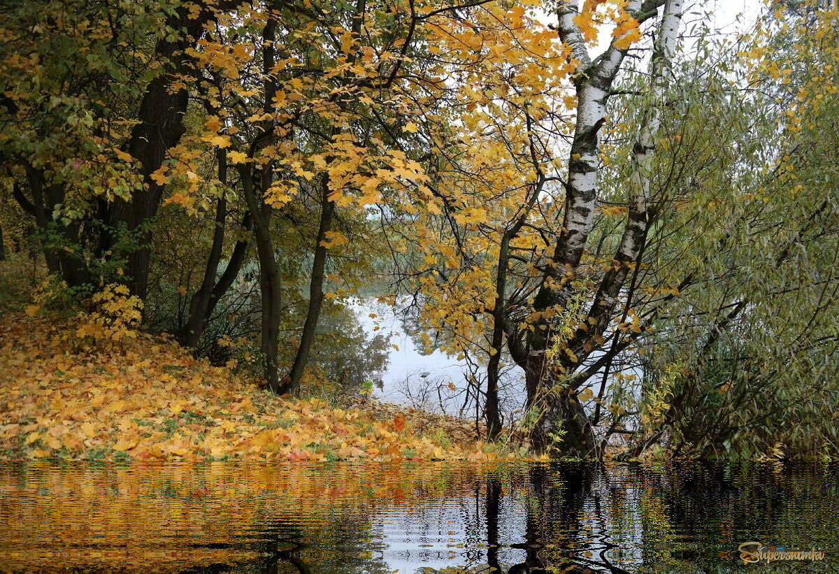 Ушедшая осень