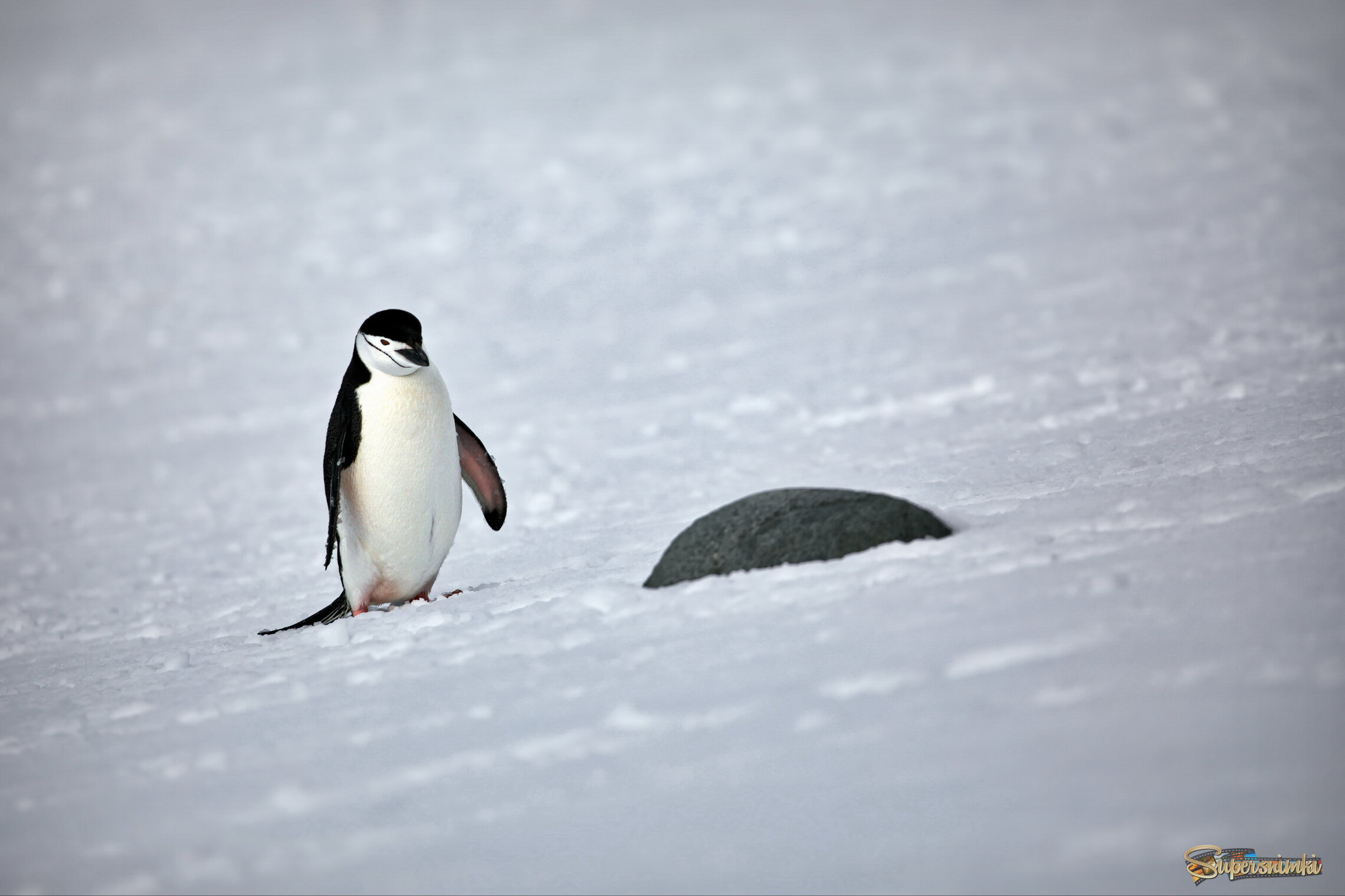 Препятствие