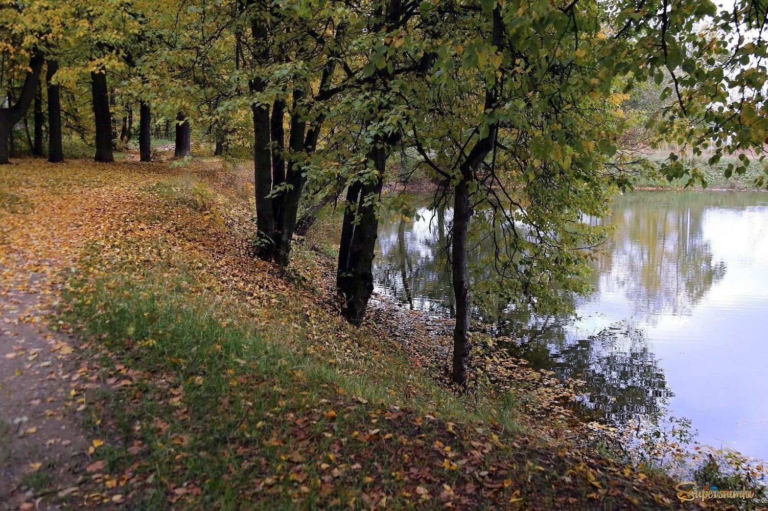 Осенний пейзаж