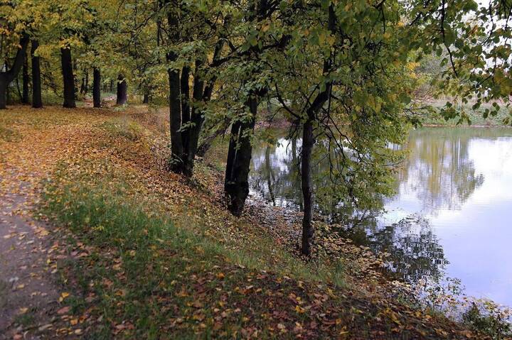 Осенний пейзаж