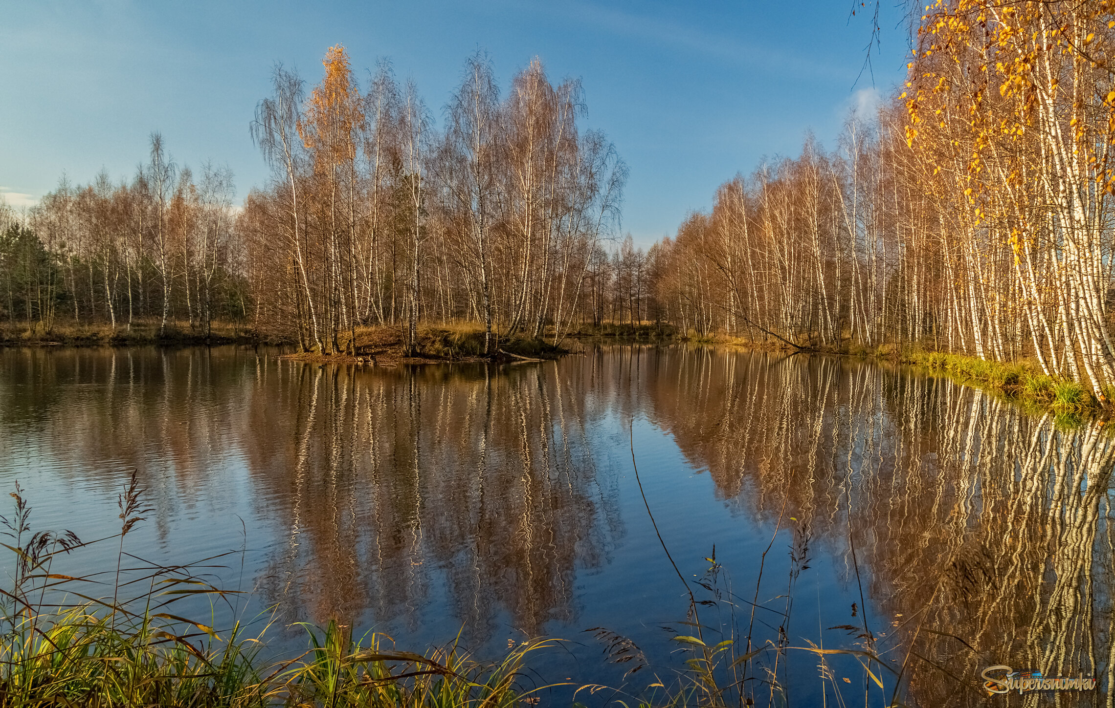 Осень не сдаётся 5 