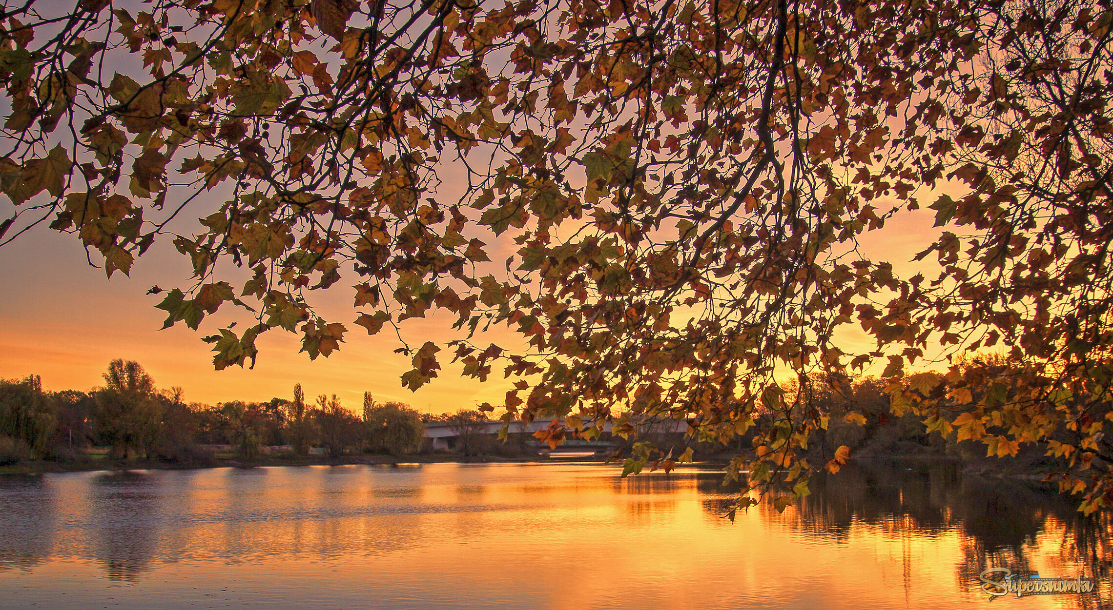 За кулисами