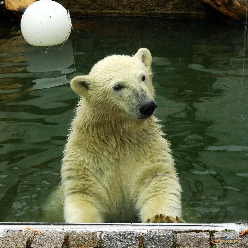 А может поиграем?