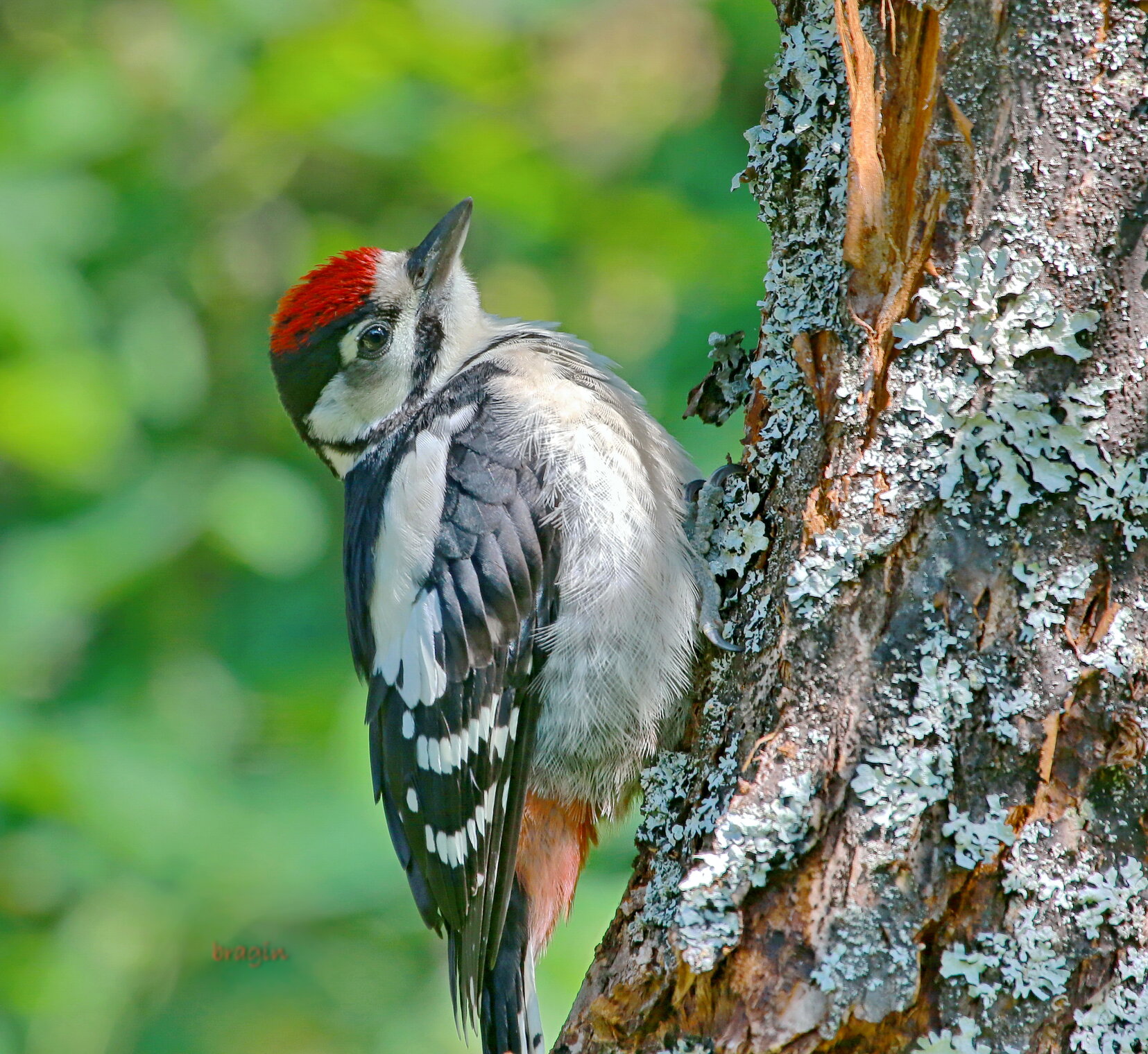 самое начало пути...