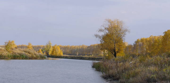 Осень,местная речка Ачаирка.