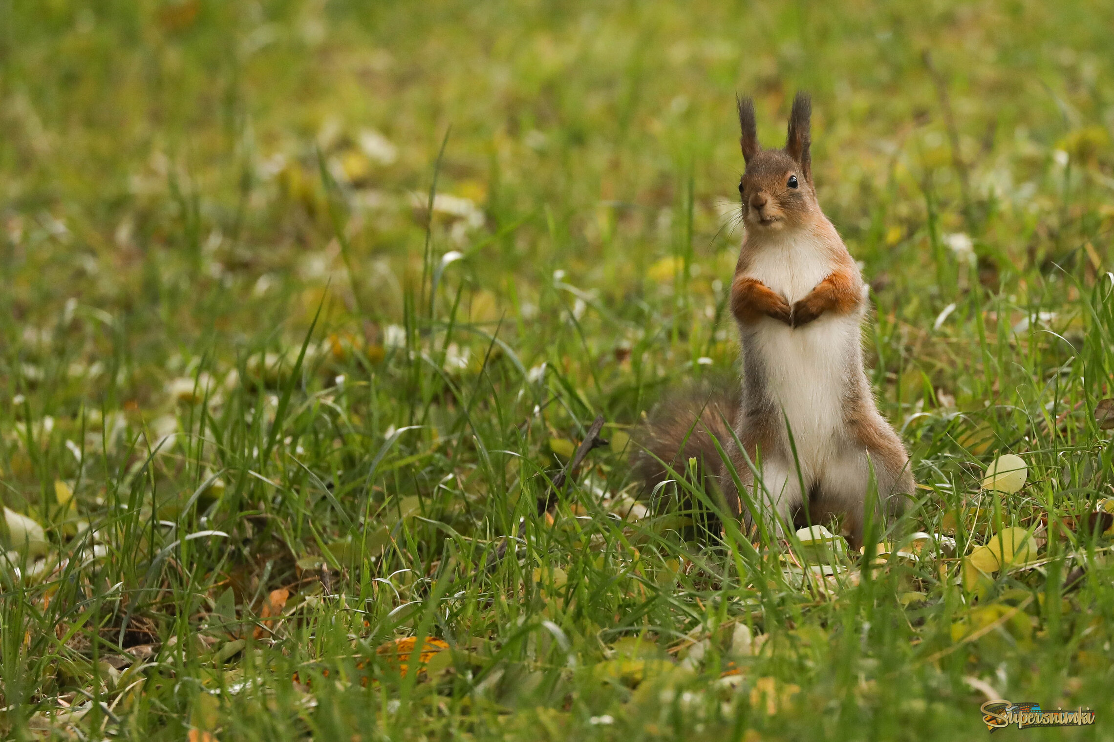 Поговори со мной!