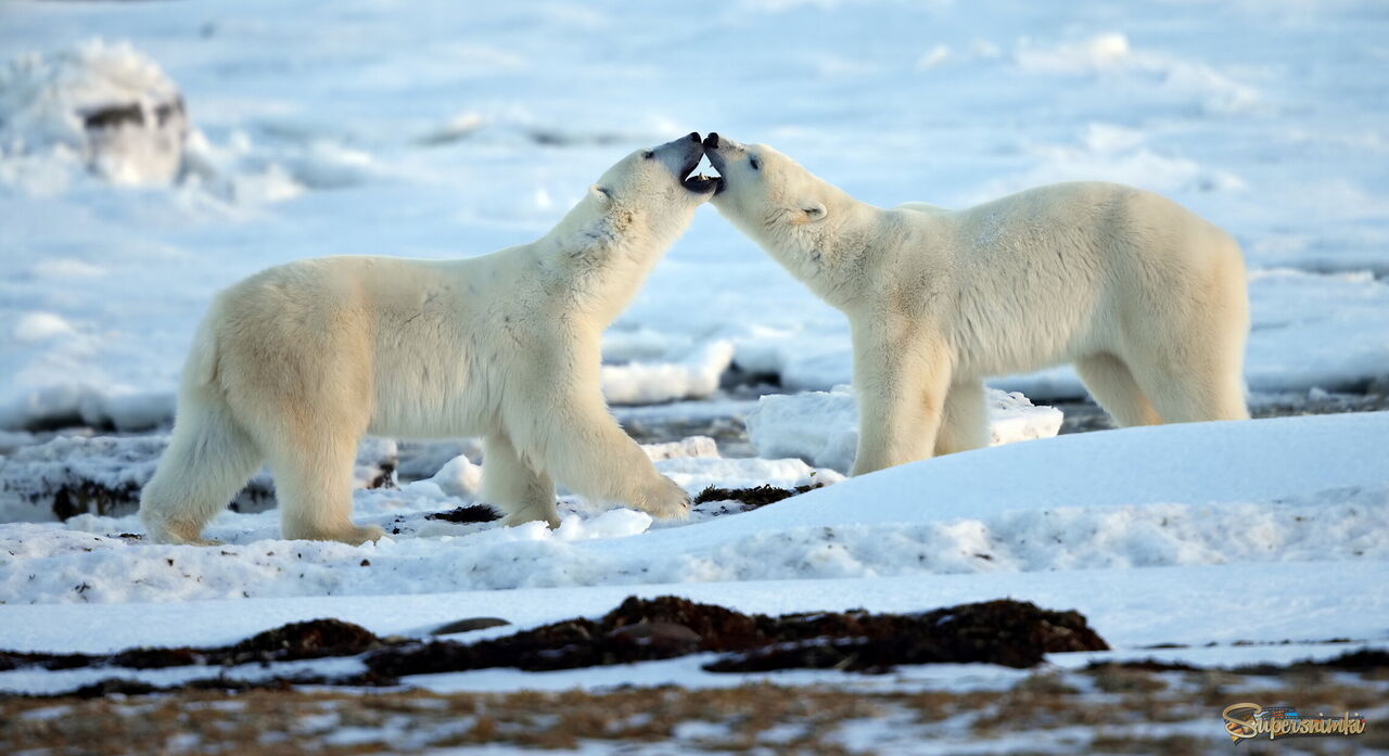 Love is...