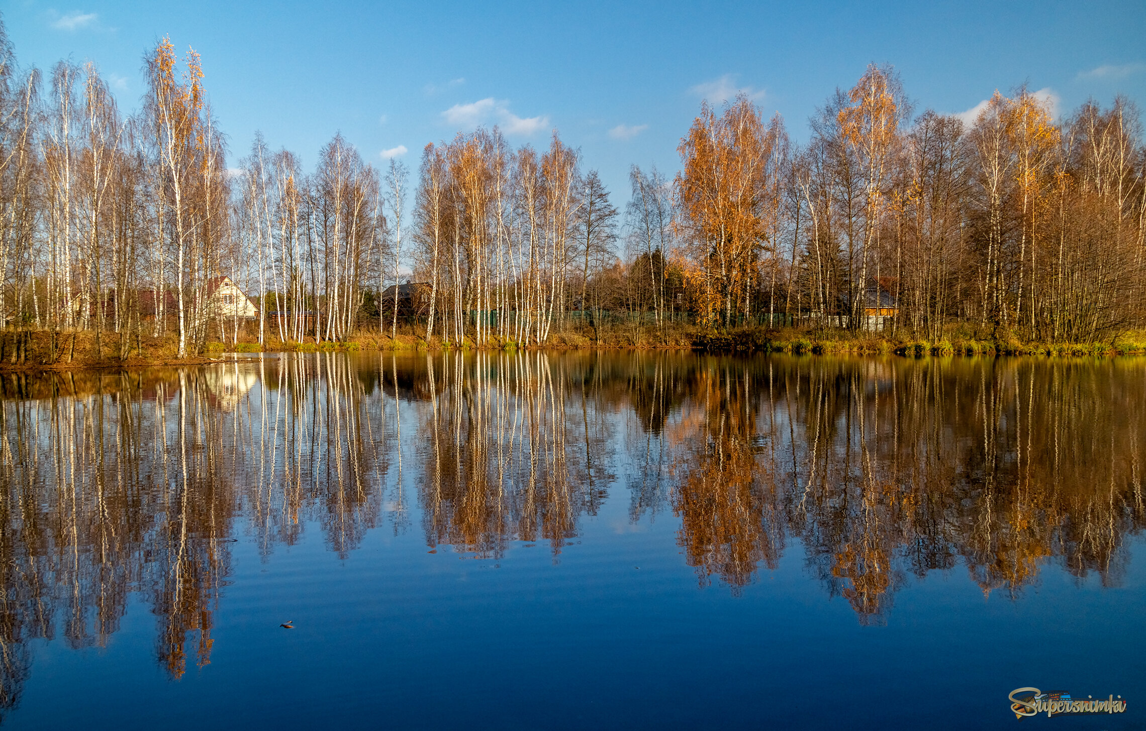 Осень не сдаётся 7