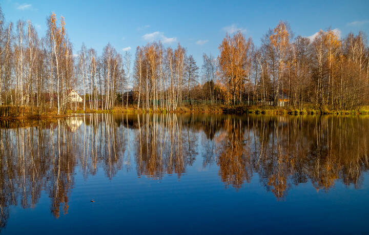Осень не сдаётся 7