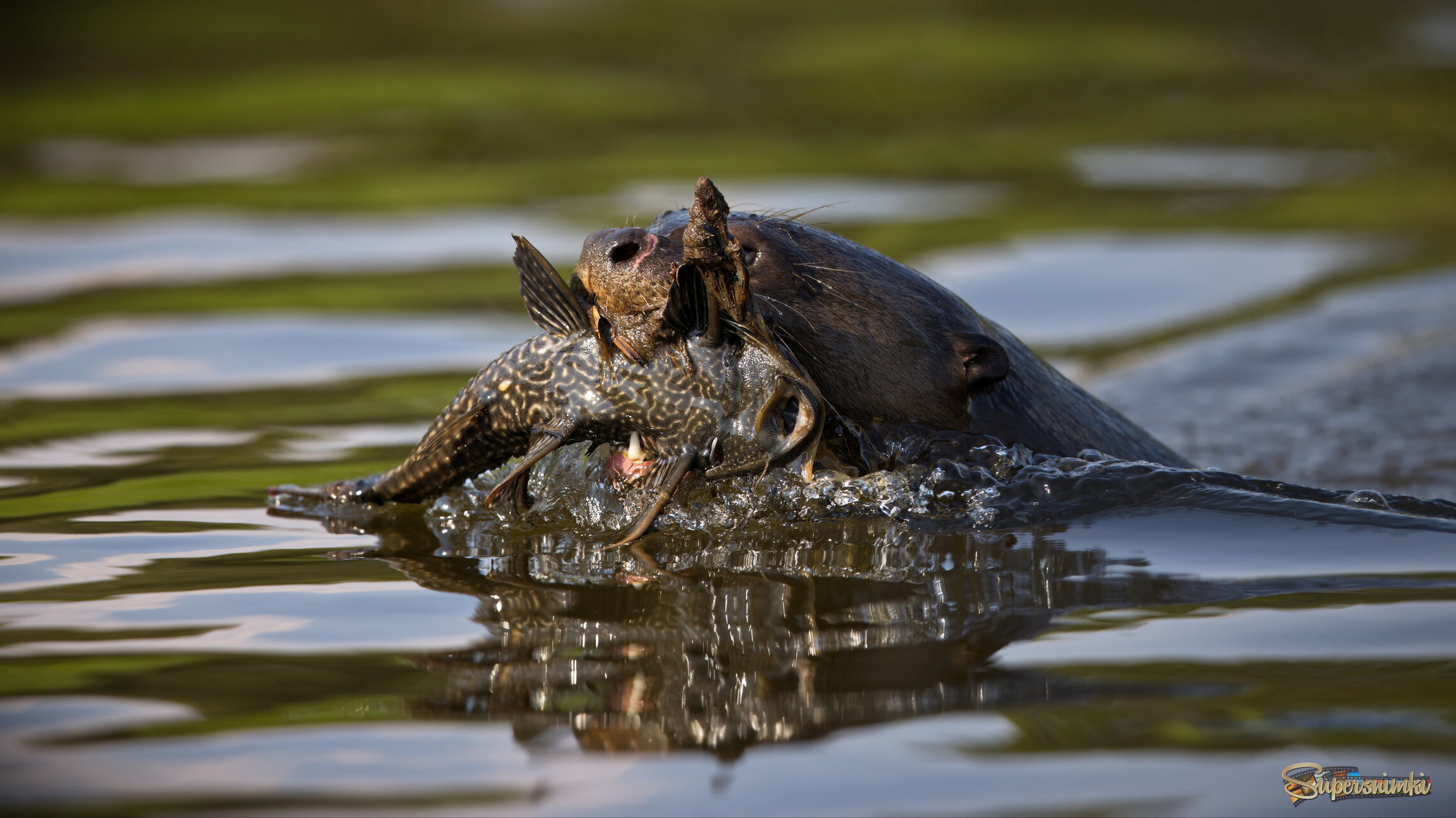 Срочная доставка