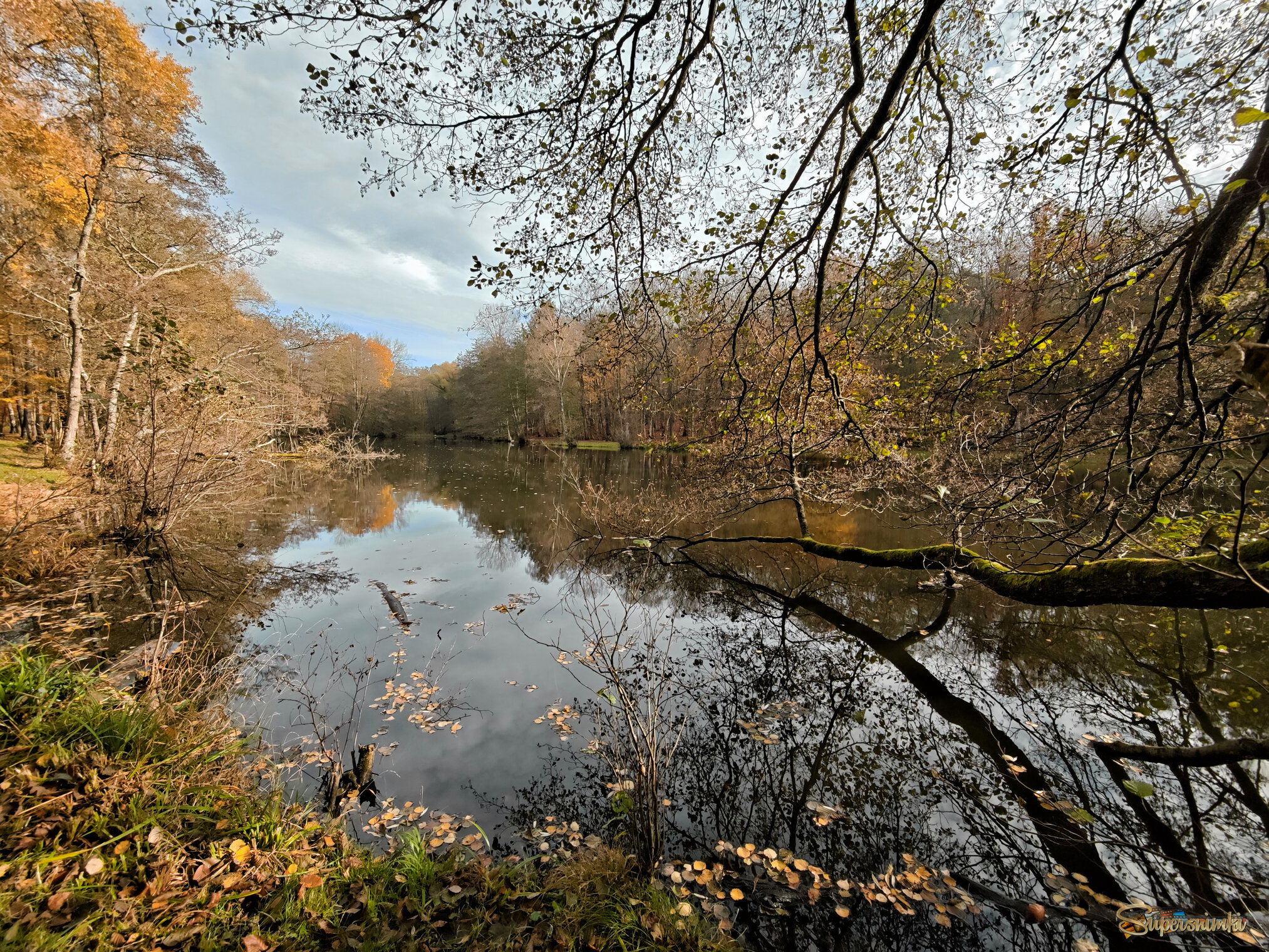 Выглянуло осеннее солнышко..