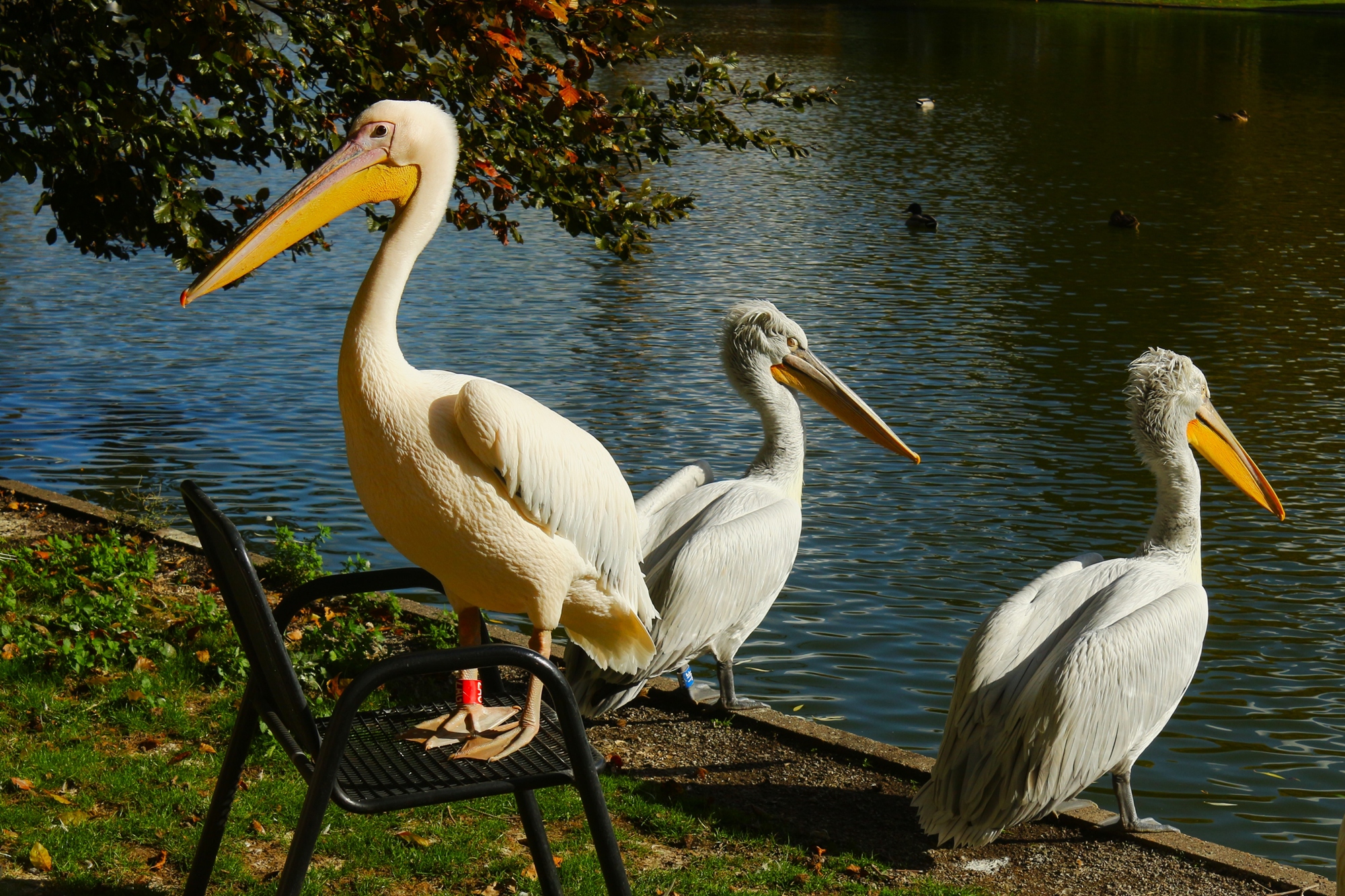 Кто не спрятался - я не виноват!