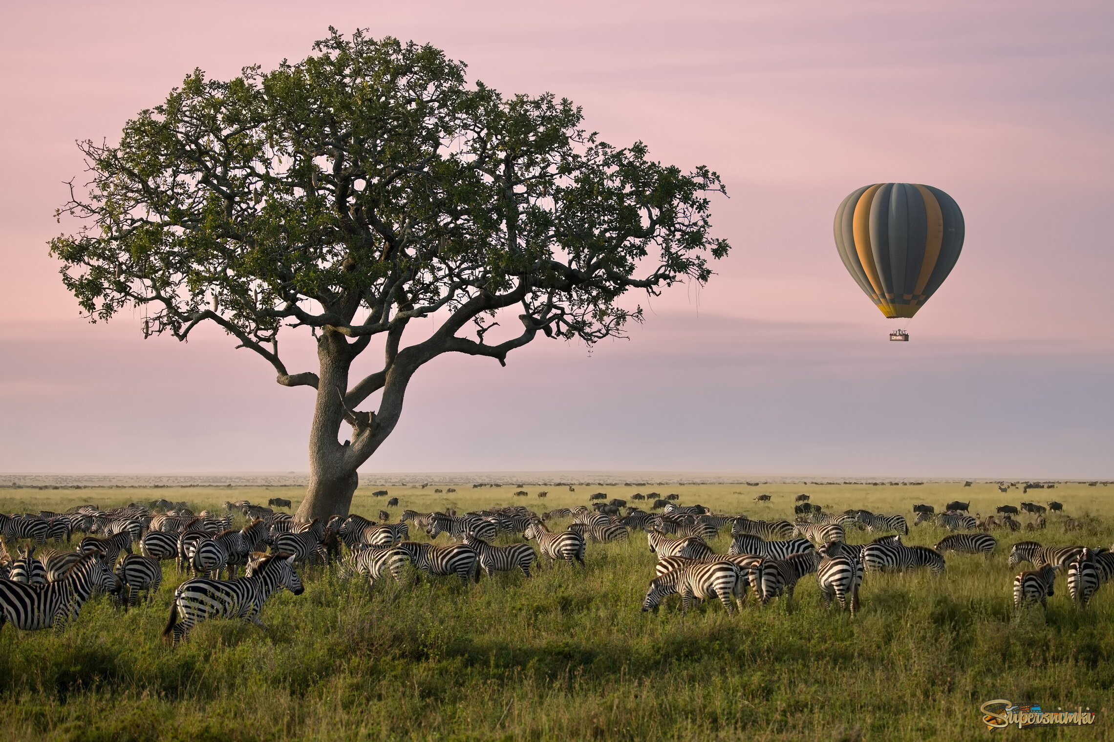 Доброе африканское утро