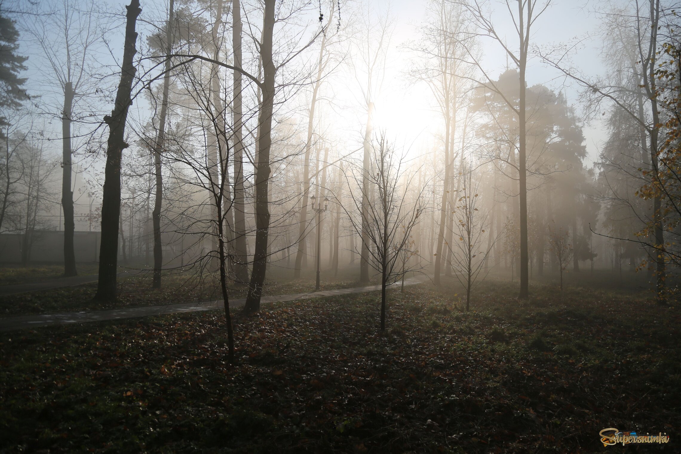 Ах, осени туман...