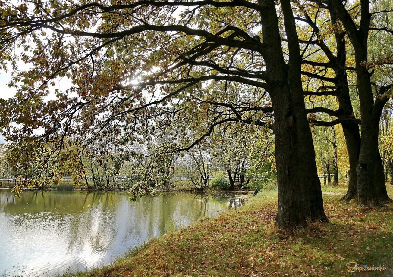 Тихая осень