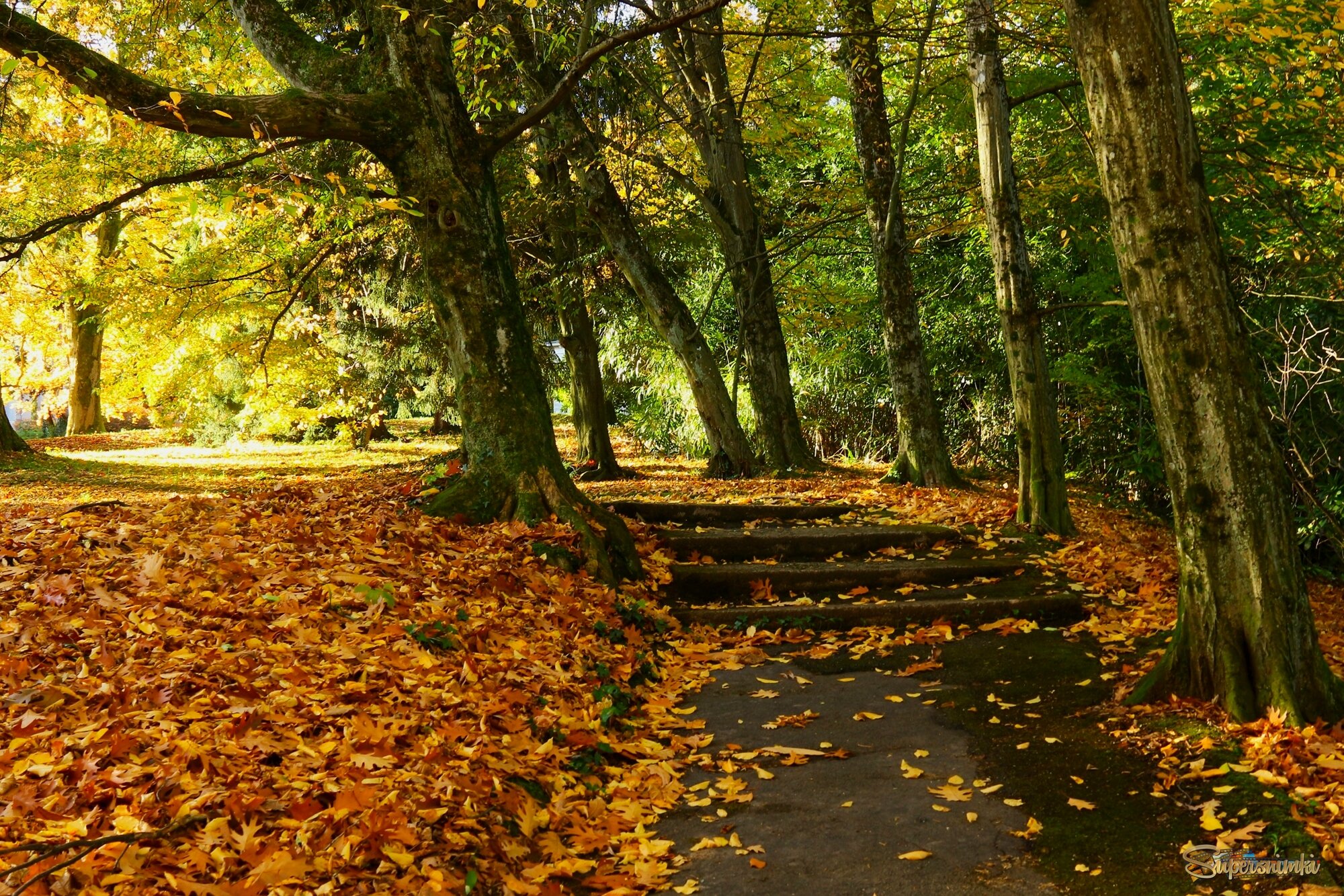 Осенние картинки