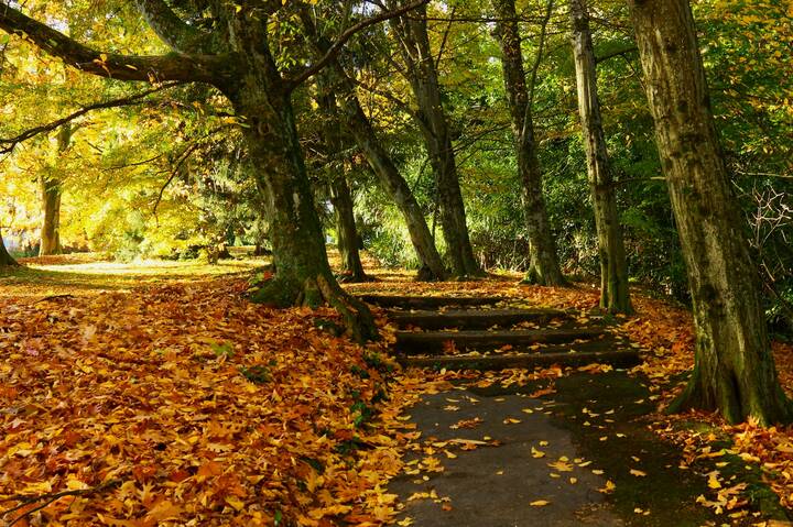 Осенние картинки