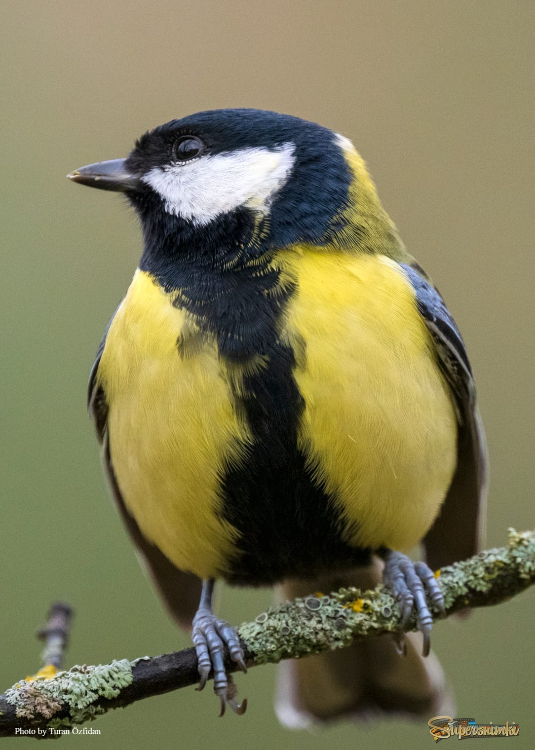 690fb42f2a0acdf2de096880