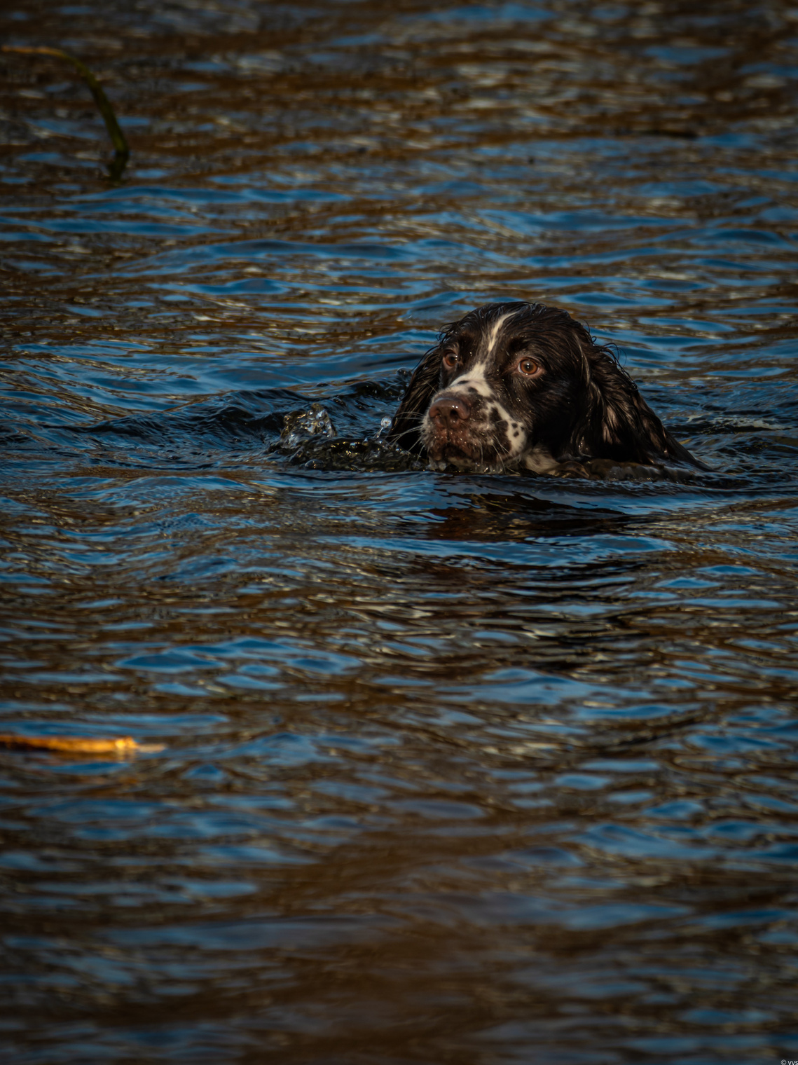 Жаркий ноябрь 