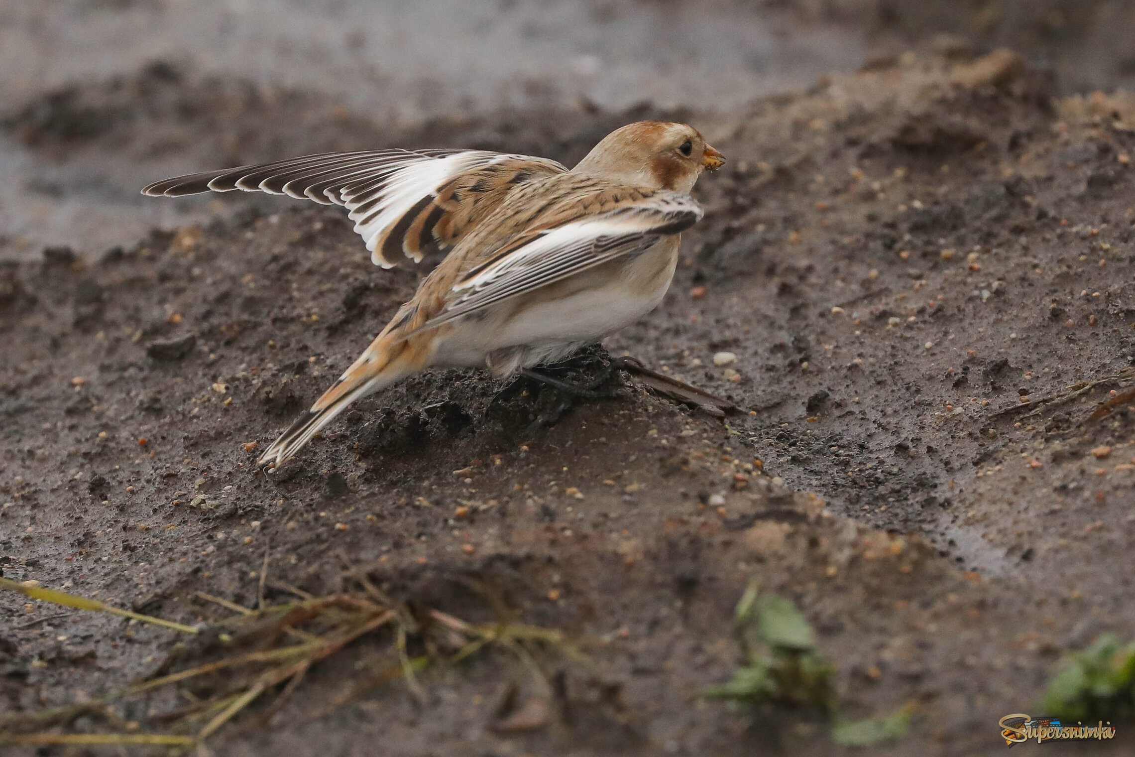 Иду на взлёт
