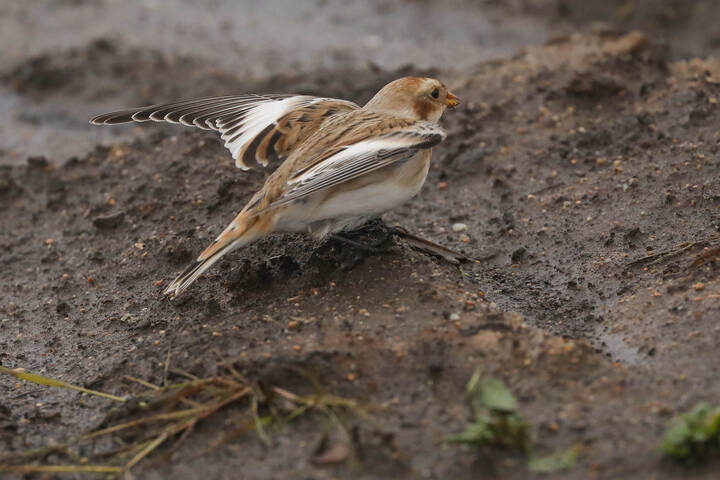 Иду на взлёт