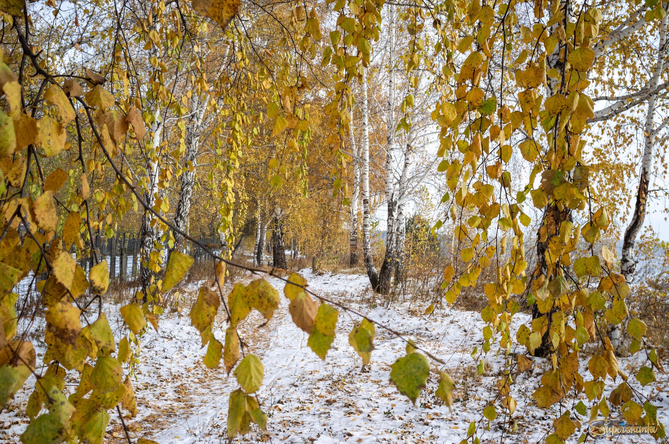 Неожиданная встреча