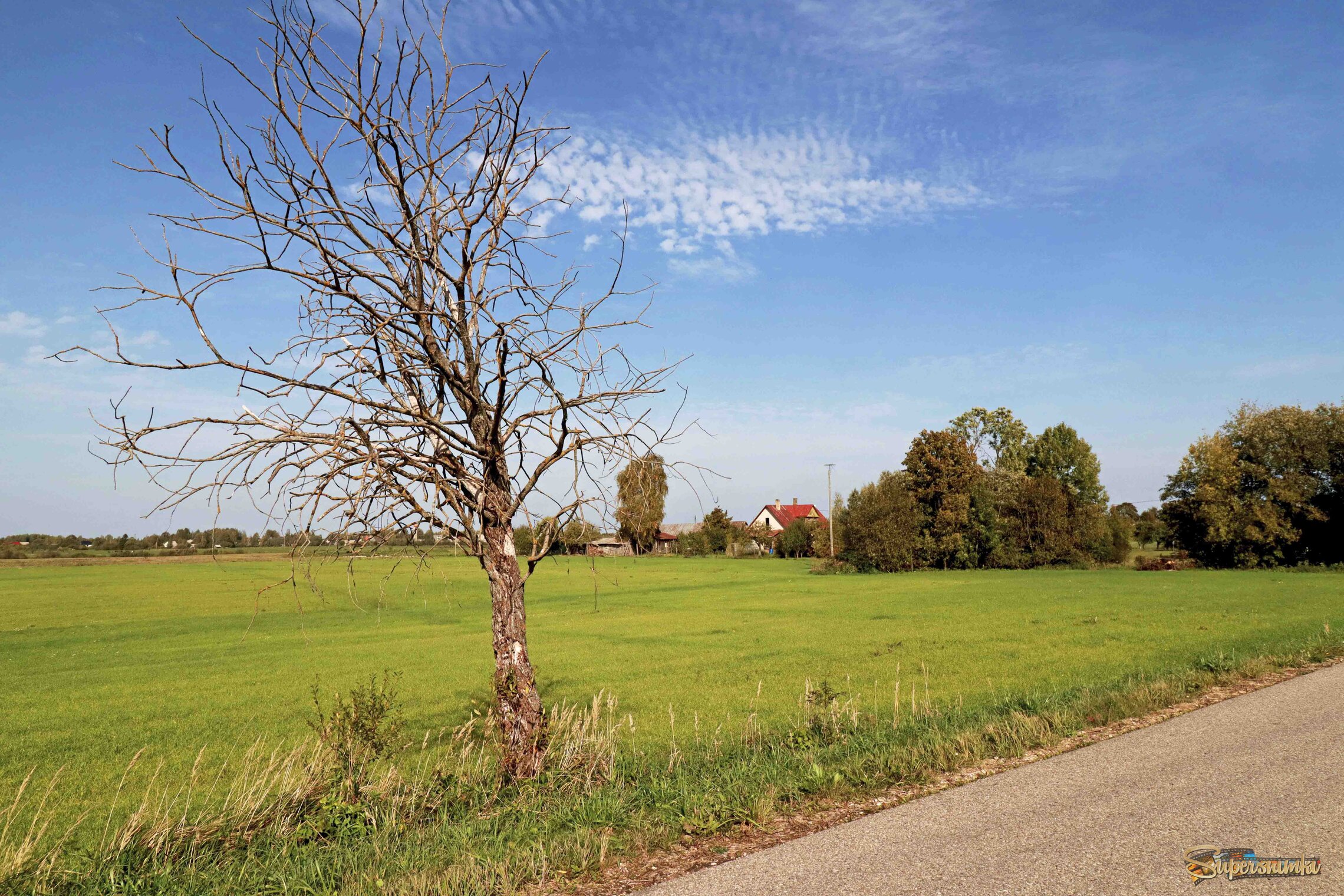 6910d10fb4ef6ca9f009687b