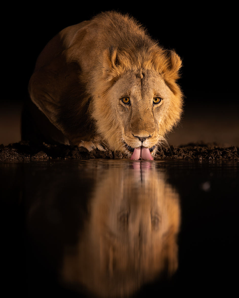 Напоить царя 