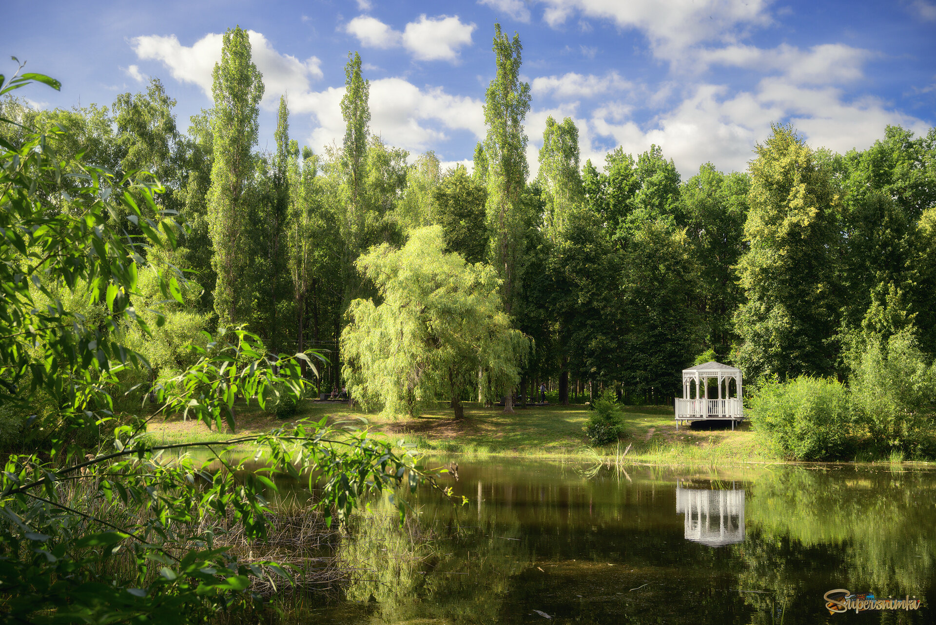 Есть в нашем парке чудный пруд...