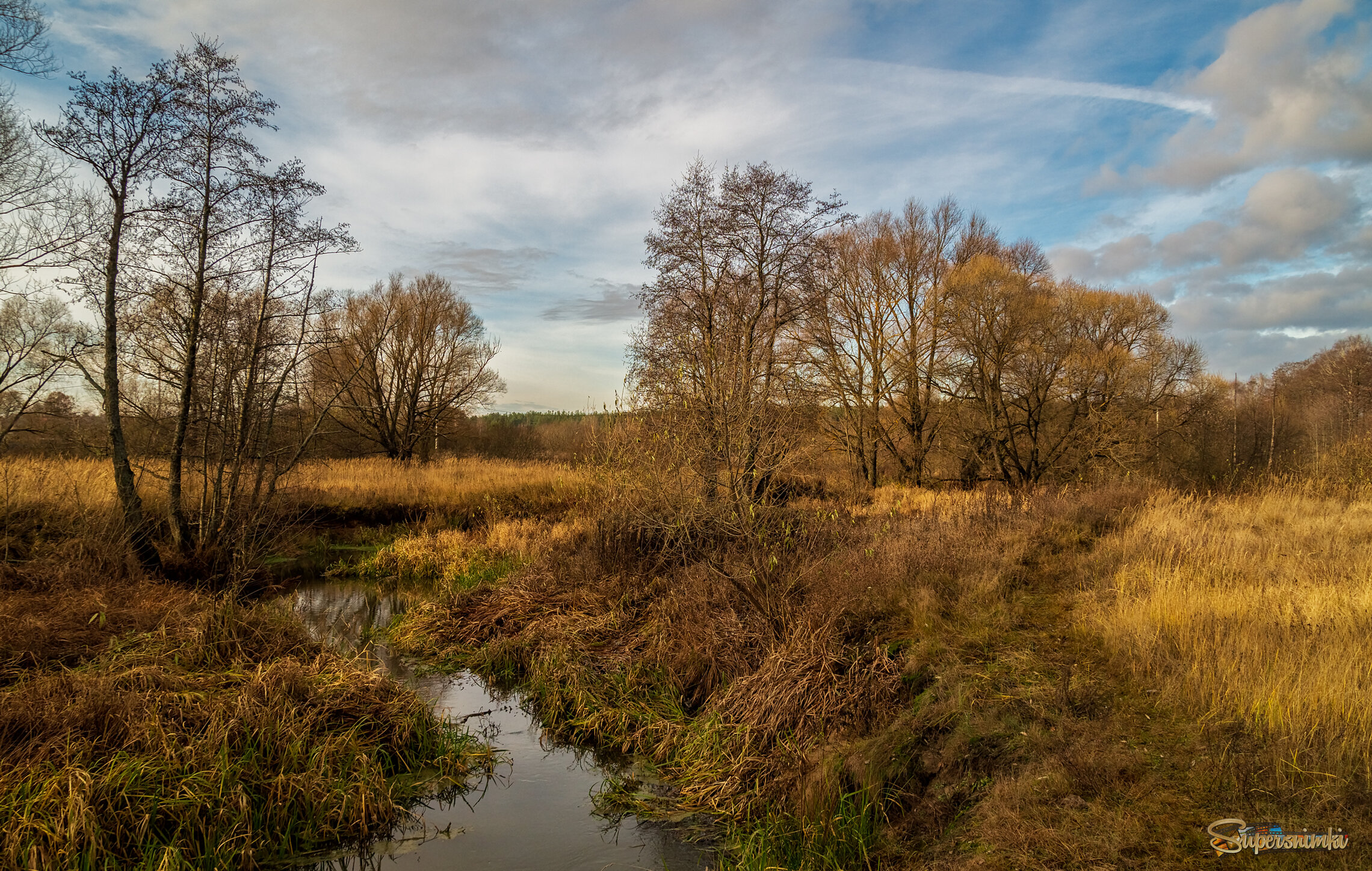 Осень не сдаётся 12 