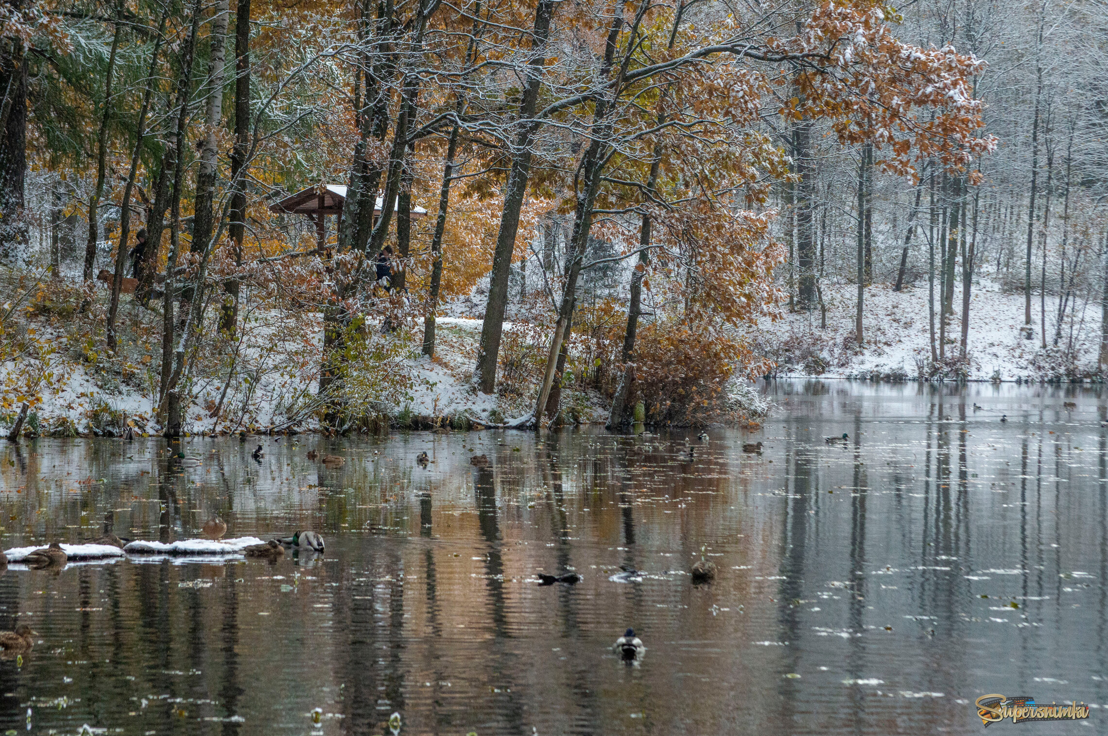 Припорошило............