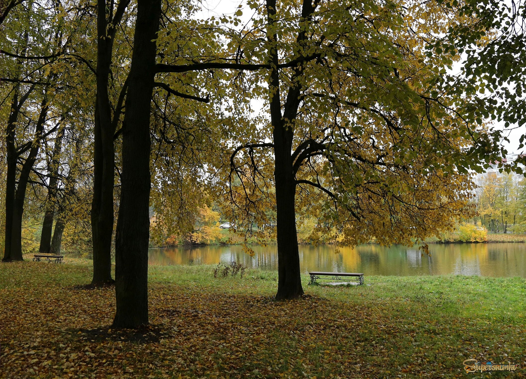 Прозрачная осень