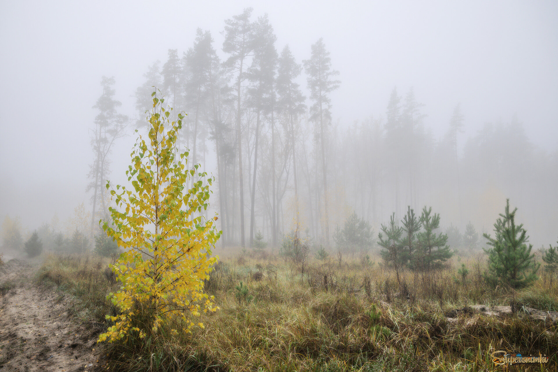 Словно мираж