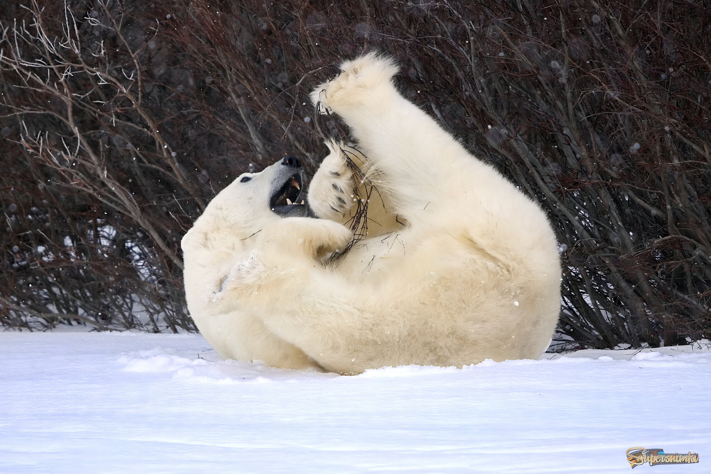 Занятия йогой